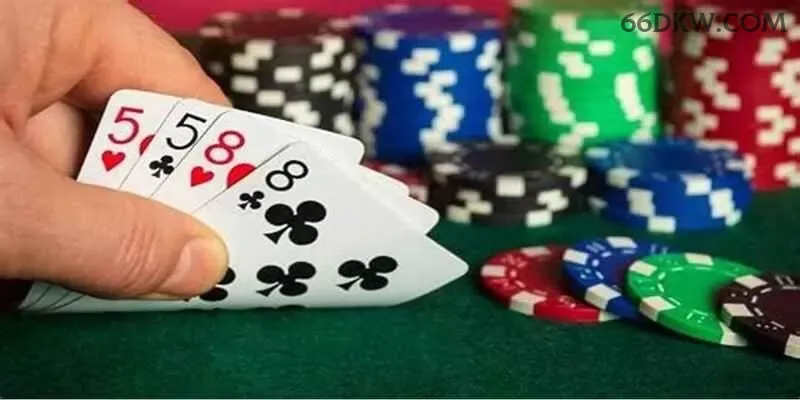 66dk multi dispositivo